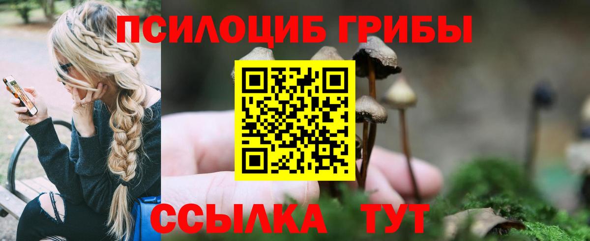 Псилоцибиновые грибы MAGIC MUSHROOMS Анапа